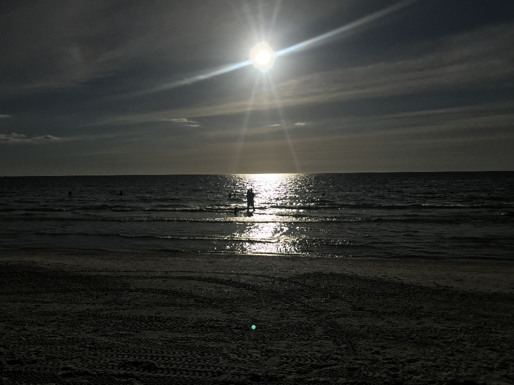 IMG_9780.JPG